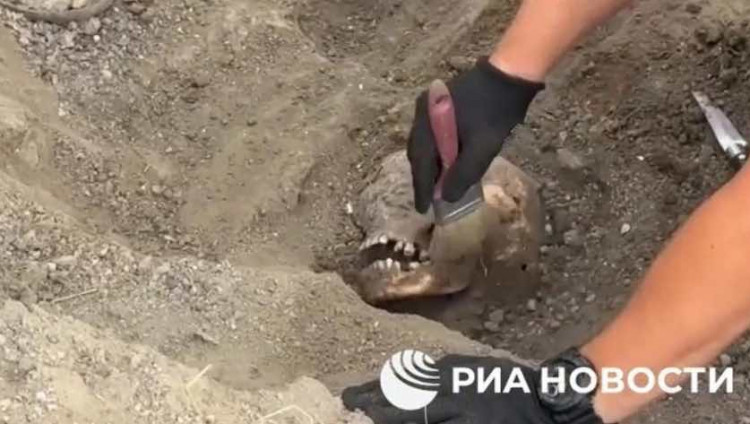 В Херсонской области обнаружены останки расстрелянных нацистами в годы ВОВ мирных жителей