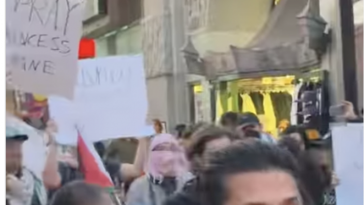 Пропалестинские активисты устроили протест против израильтянки Ширы Хаас на премьере нового «Капитана Америки»