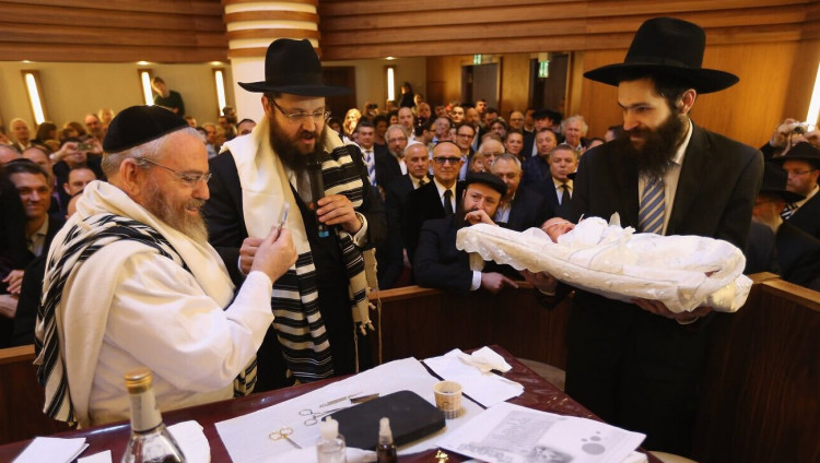 Европейские раввины призвали главу Еврокомиссии защитить обряд обрезания как часть традиции