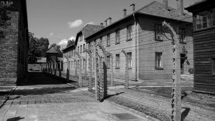 Исследование: потомки переживших Холокост более психологически устойчивы, чем остальные израильтяне
