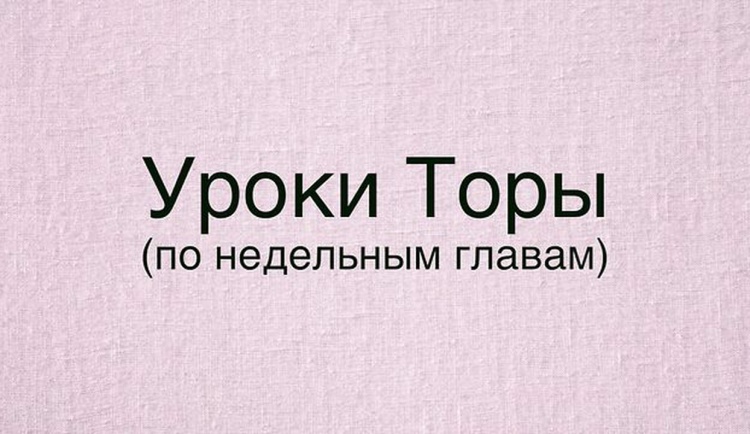 Комментарии рава Адама Давидова к недельной главе «Бэhар»
