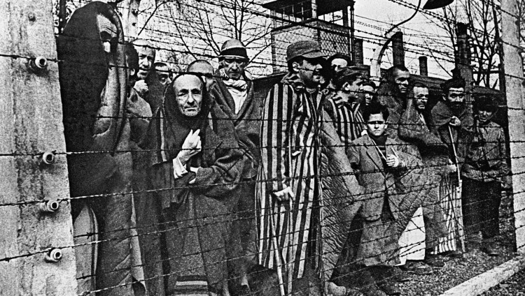 Фонд Печерского объявил о создании мемориала узникам нацистских лагерей под Петербургом