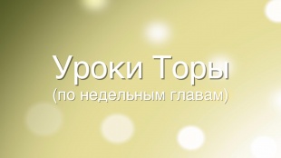 «Я свободный человек, никто мне не указ!»
