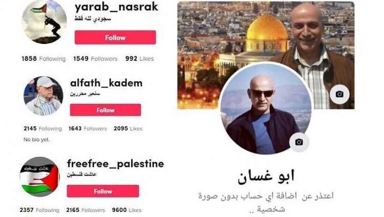 ШАБАК арестовал двух израильских арабов, завербованных «Хезболлой» через TikTok