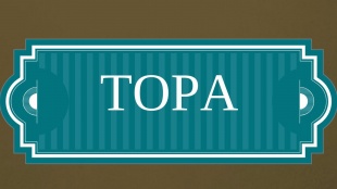 Почему процесс очищения должен организовать коэн? Глава Мецора
