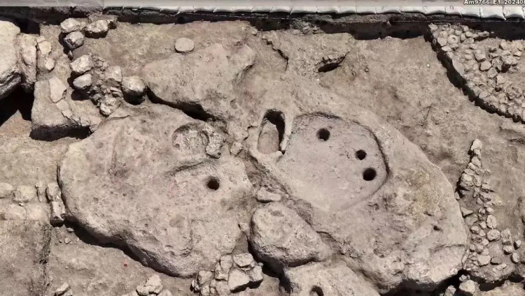 Израильские археологи нашли винодельческий пресс возрастом 5 000 лет
