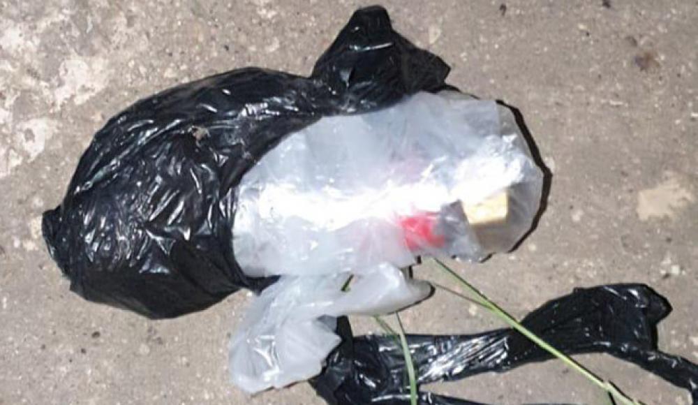 В Иерусалиме пес помог найти  бомбы, изготовленные террористом
