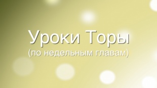 Комментарии рава Адама Давидова к недельной главе «Хукат»