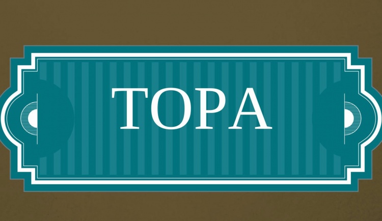 Почему процесс очищения должен организовать коэн? Глава Мецора