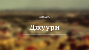 Художественная литература в переводах на джуури. Библиографическая справка