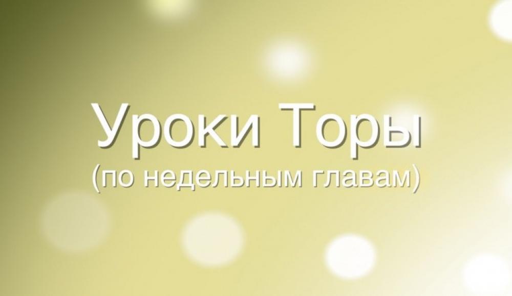 Комментарии рава Адама Давидова к недельной главе «Ки таво»