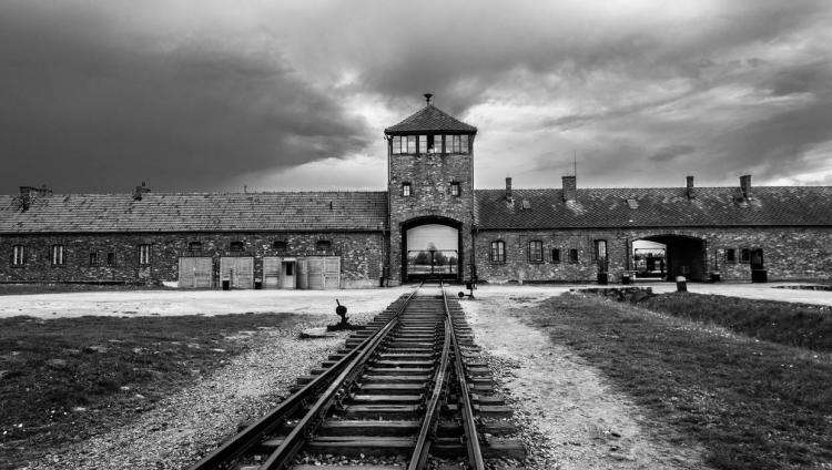 Приглашение к участию в образовательном онлайн-семинаре «Аушвиц — история и символика»