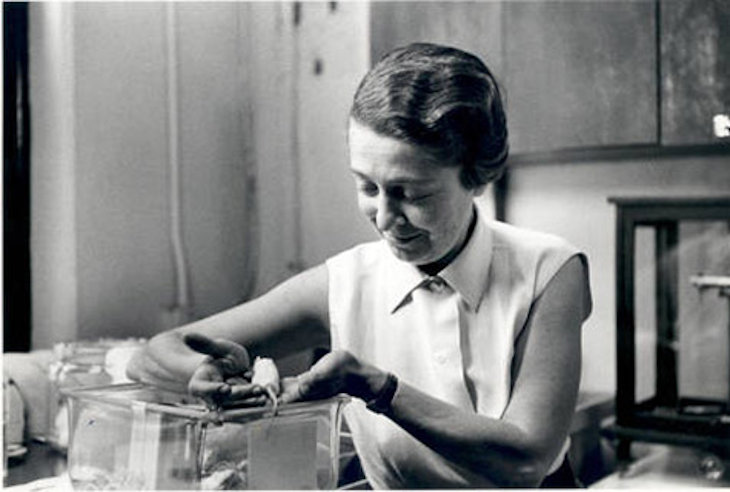 Rita-Levi-Montalcini_htm_e18d997687bfc841.jpg Rita-Levi-Montalcini_htm_e18d997687bfc841.jpg