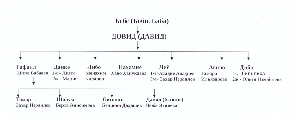 Схема ветки Бабаев Рафаил.jpg Схема ветки Бабаев Рафаил.jpg