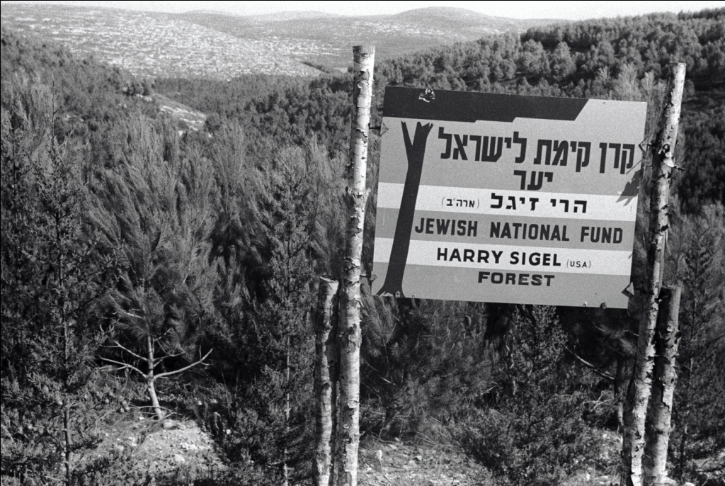 PikiWiki_Israel_14788_Jezreel_Valley_Menashe_Forests.jpg