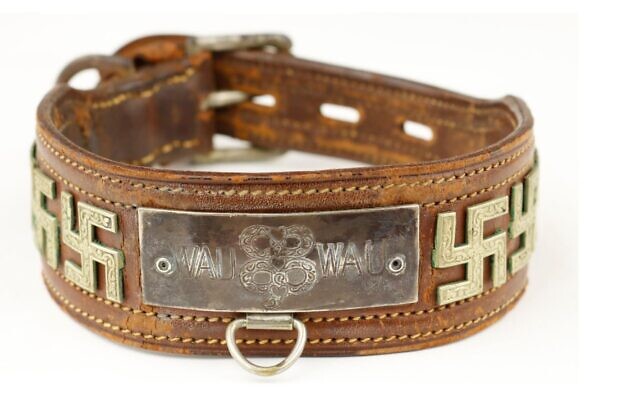 Eva-Brown-dog-collar-2048x1156-1-640x400.jpeg