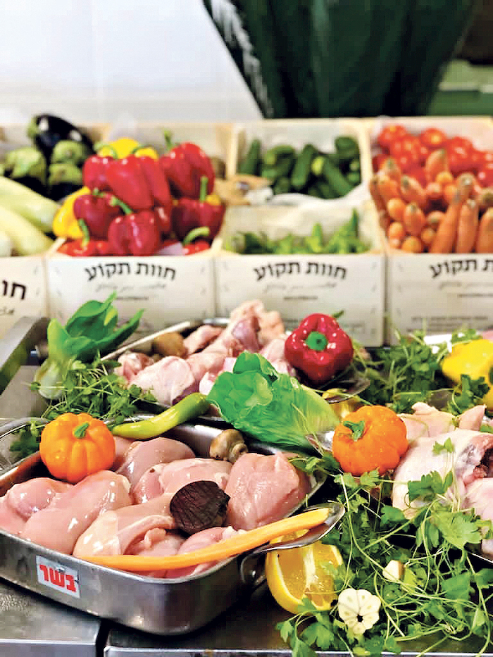 NUTRITION5.jpg