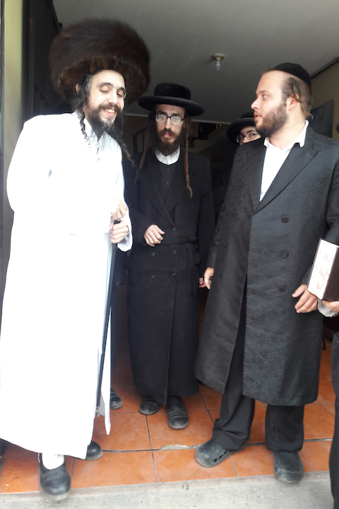 nachman-helbrans.jpeg