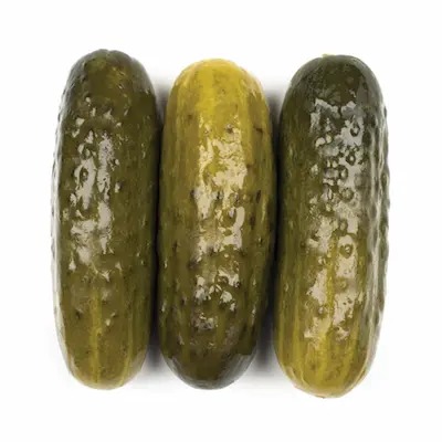 Jews-and-Pickles_htm_2a36841d-1_csecollege.jpeg