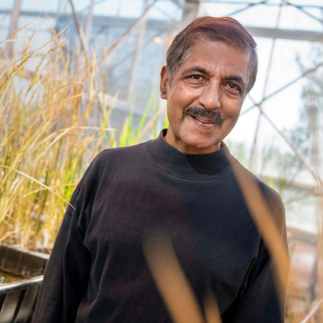 venkatesan-sundaresan-uc-davis.jpg venkatesan-sundaresan-uc-davis.jpg