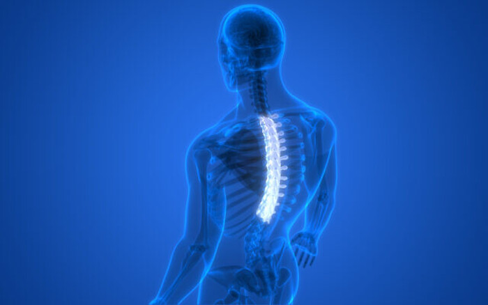iStock-1285024893-640x400.jpeg