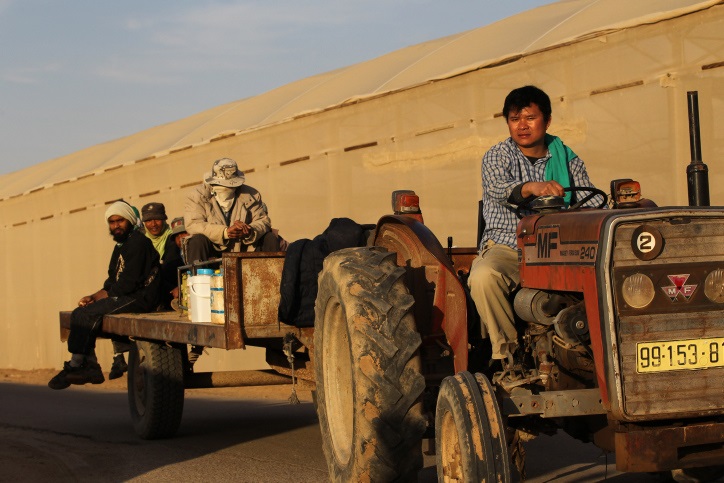 thai-workers-tractor.jpg