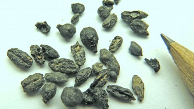 antiquities-e1424140576494.jpg
