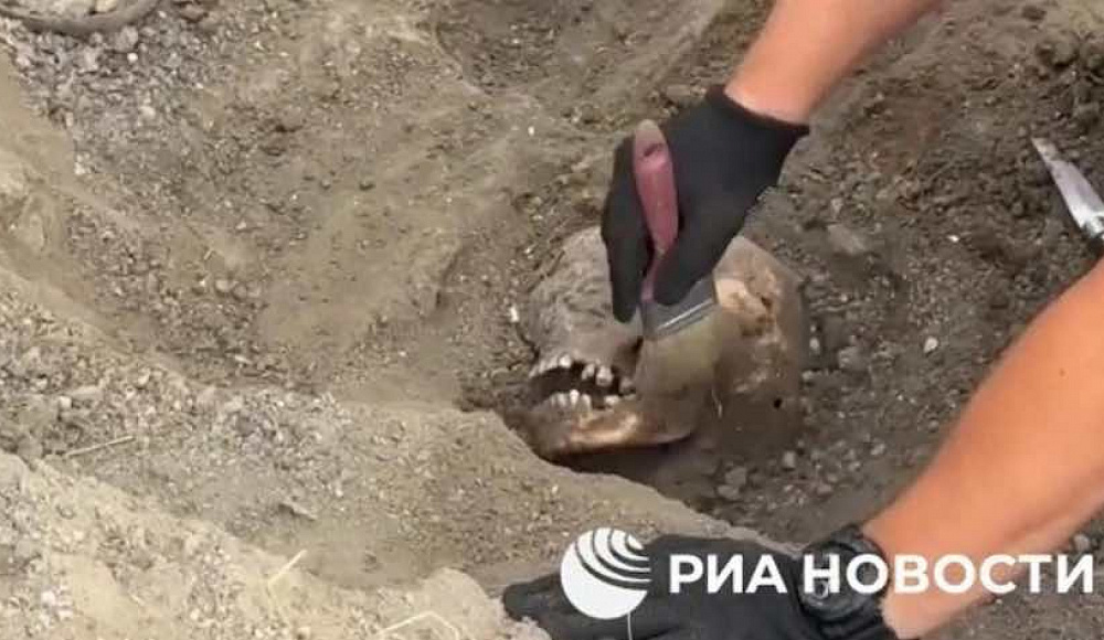 В Херсонской области обнаружены останки расстрелянных нацистами в годы ВОВ мирных жителей