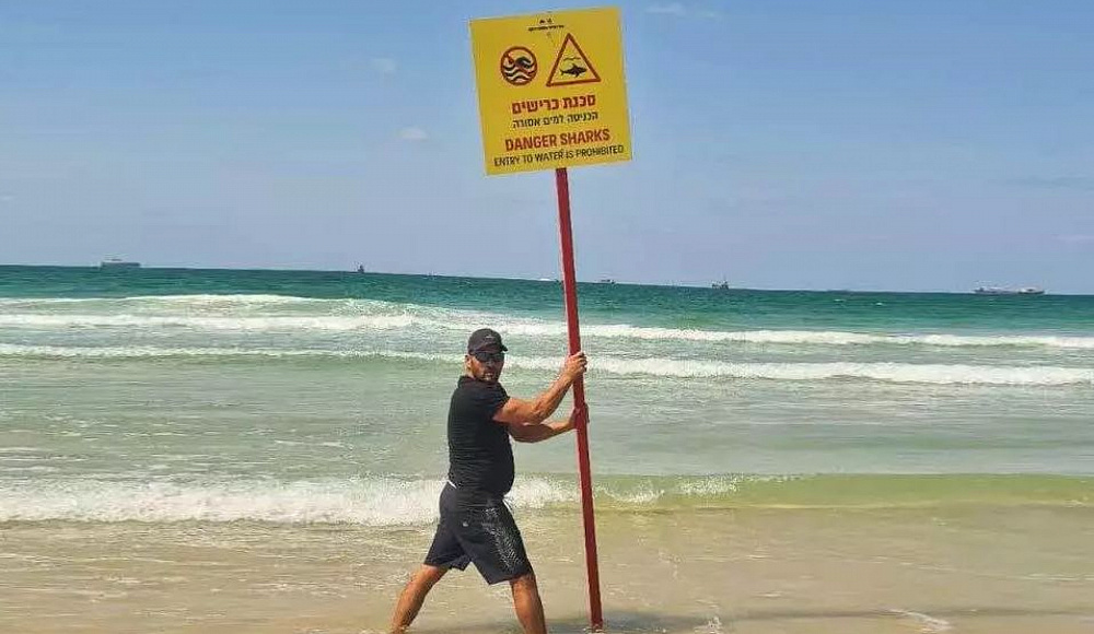 Пляж Ашдода эвакуирован из-за акулы в прибрежных водах