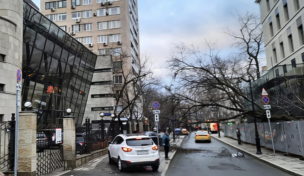 Шторм повалил дерево у синагоги на Большой Бронной в Москве